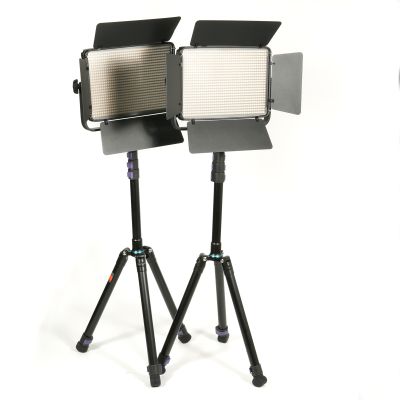Promaster LED1000B Specialist LED Bi-Color Studio Light 2 Panel Kit